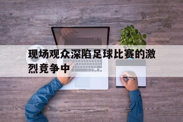 现场观众深陷足球比赛的激烈竞争中